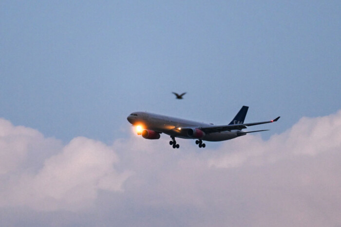 Egér volt a kajában, kényszerleszállást hajtott végre egy repülő