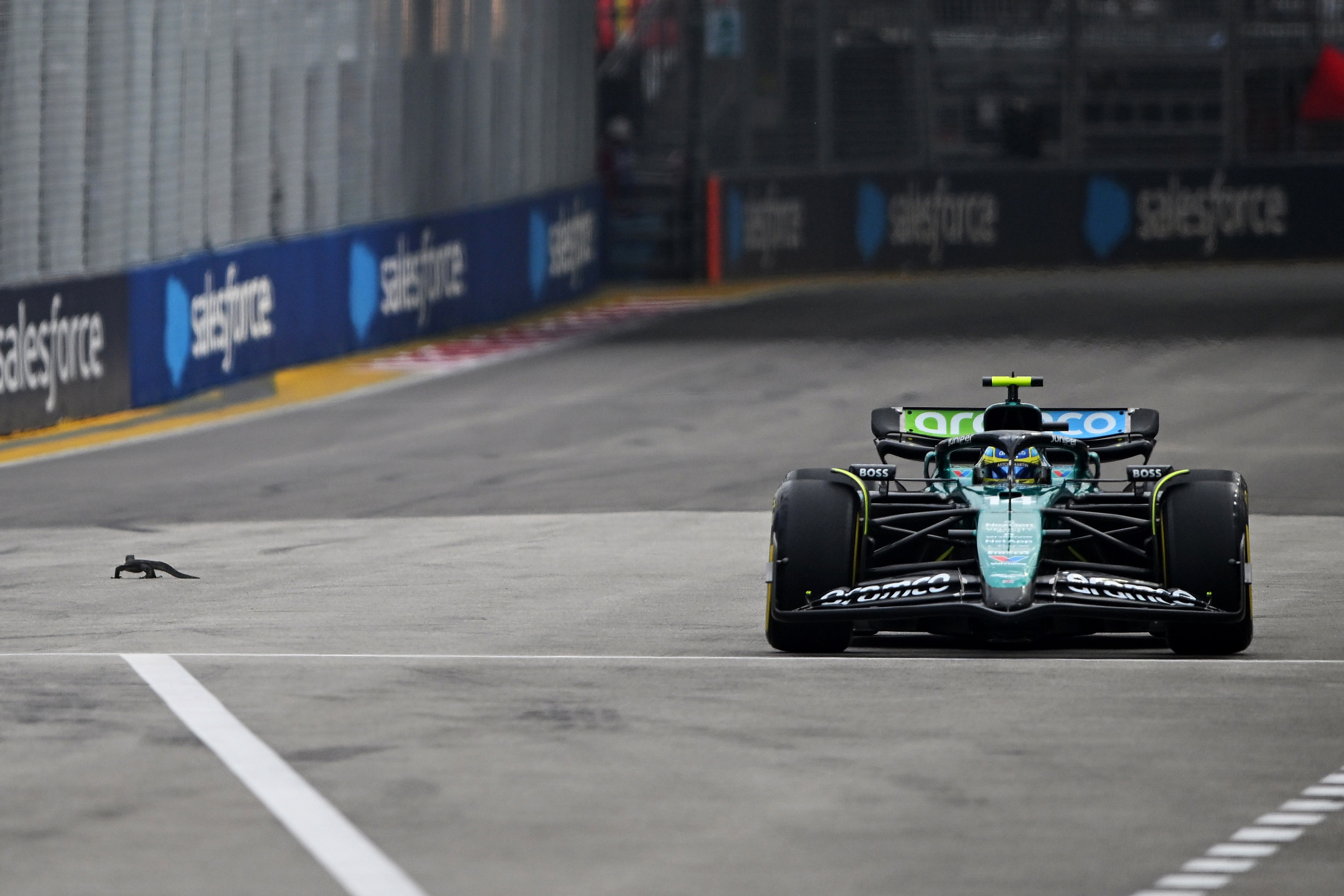 Vadállat szabotálta az F1-es szabadedzést