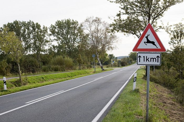 Évente hétezer vadat ütnek el a magyar autósok