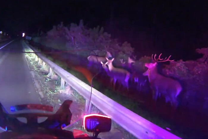 Misztikus filmekbe illő jelenet az 55-ös főúton