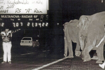 Őrült traffipaxfotókat mutattak meg a rendőrök