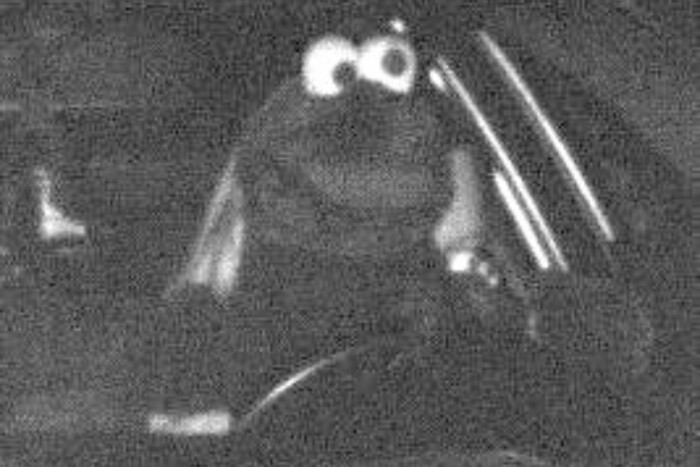 Alig hiszik a rendőrök is, de ezt a képet a traffipax lőtte