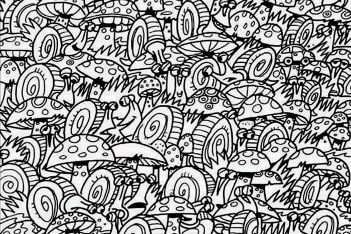 Igazi zseni vagy, ha 10 másodperc alatt megtalálod a képen a kisautót 1