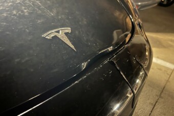 Nem látta az út közepén álló szarvast a Tesla