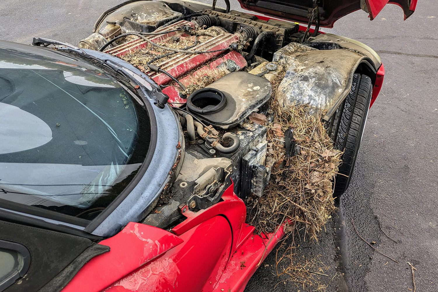 A fat new Dodge Viper 8 has been resting on a pole for 28 years