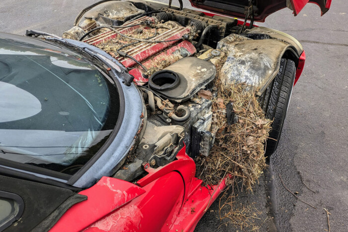 28 évig pihent oszlopra tűzve egy zsír új Dodge Viper