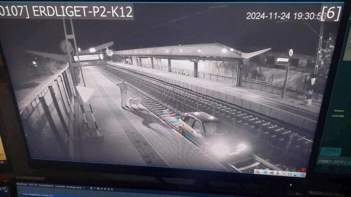 Vonat helyett Suzuki gurult be a síneken az érdligeti vasútállomásra 1