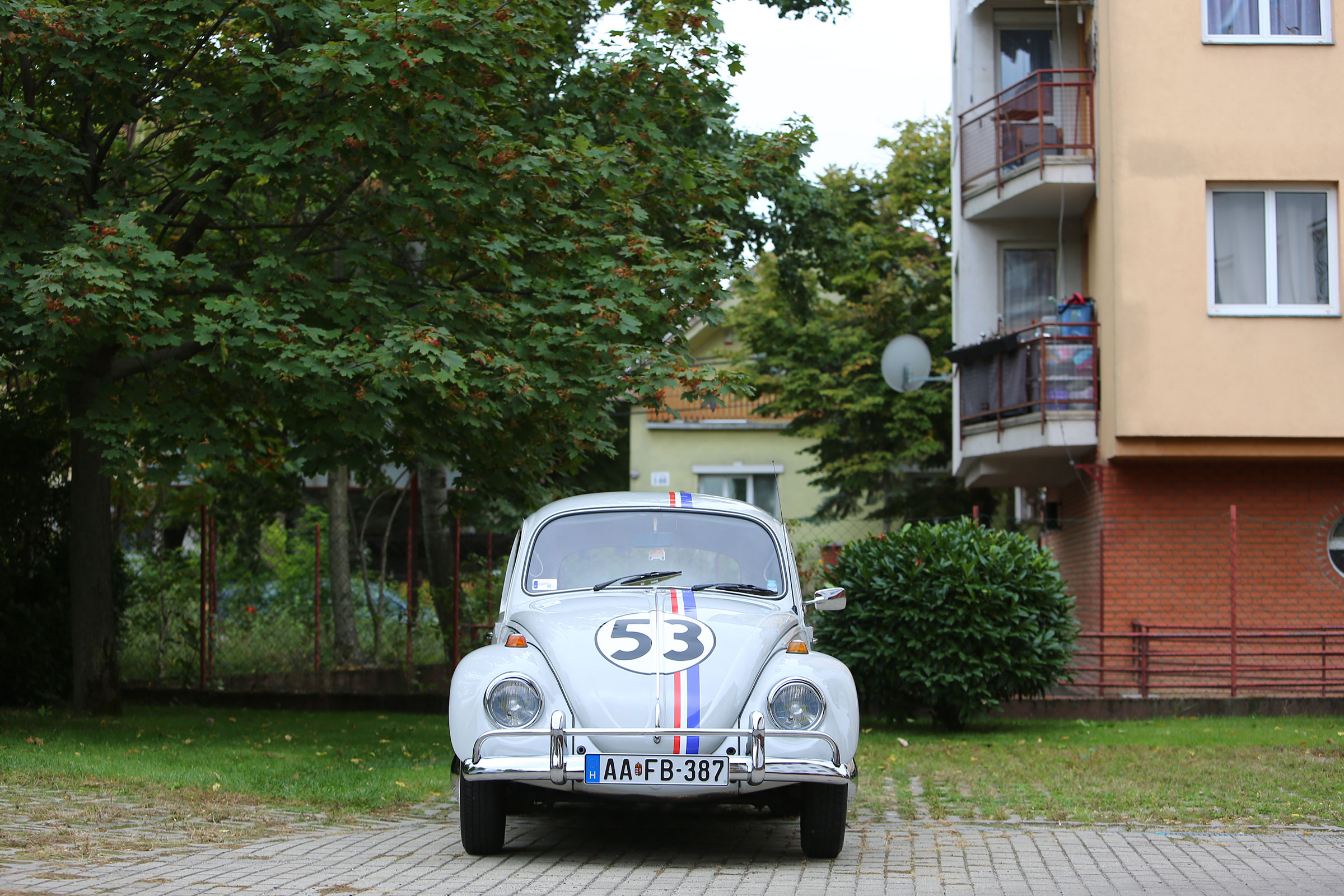 Itthon találtunk gyönyörű használt Volkswagen Bogarat 16