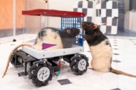 Ijesztő kísérlet: meddig bírjuk az autóban ugyanazzal a levegővel? 1