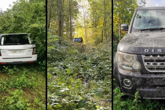 Lopott luxusautókkal volt tele egy erdő Angliában 1