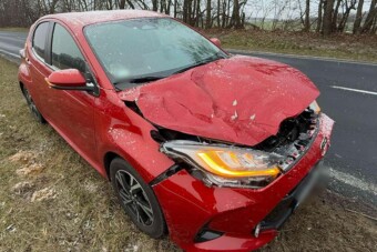 Profin reagált a sofőr, aki elé szarvas ugrott a 84-es úton