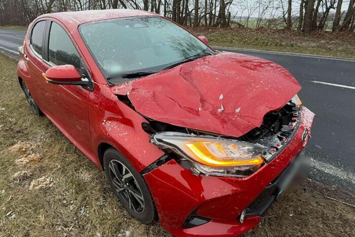 Profin reagált a sofőr, aki elé szarvas ugrott a 84-es úton