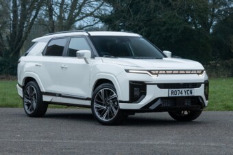 Délceg sas lett a rút kiskacsából