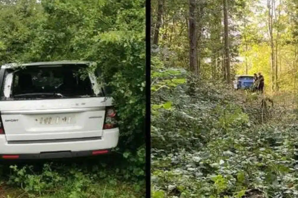 Lopott luxusautókkal volt tele egy erdő Angliában