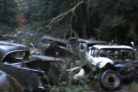 Ez az erdő tele van elhagyott autókkal – sokkoló a látvány 1