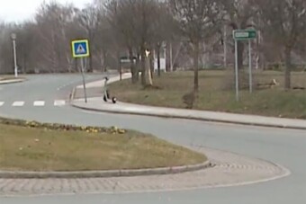 Átvágta a körforgalmat Százhalombattán, a párja hallotta a halálát