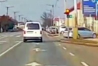 Igazi jómadarat fogtak a győri rendőrök, sokáig gyalogkakukk lesz 1