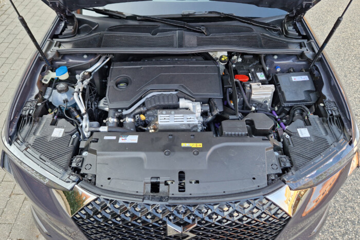 Ilyen egy szépség szörnyeteg nélkül 17