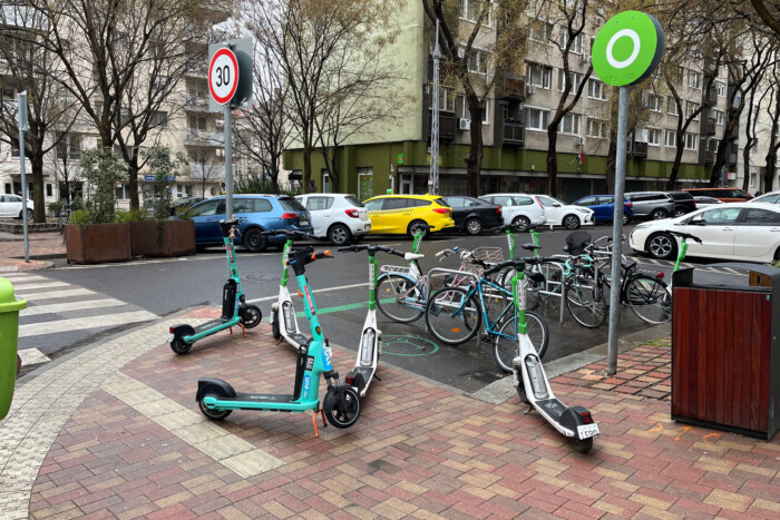 A bulikirálynak üzen a pesti buszsofőr 4