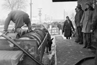 Amikor egy éjszaka alatt lett luxuscikk a benzin 12