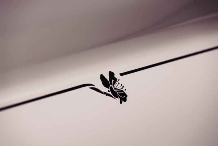 Félmilliószor szúrták meg ezt az autót 9