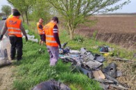 400 elefánt a magyar autópályák mellett 2