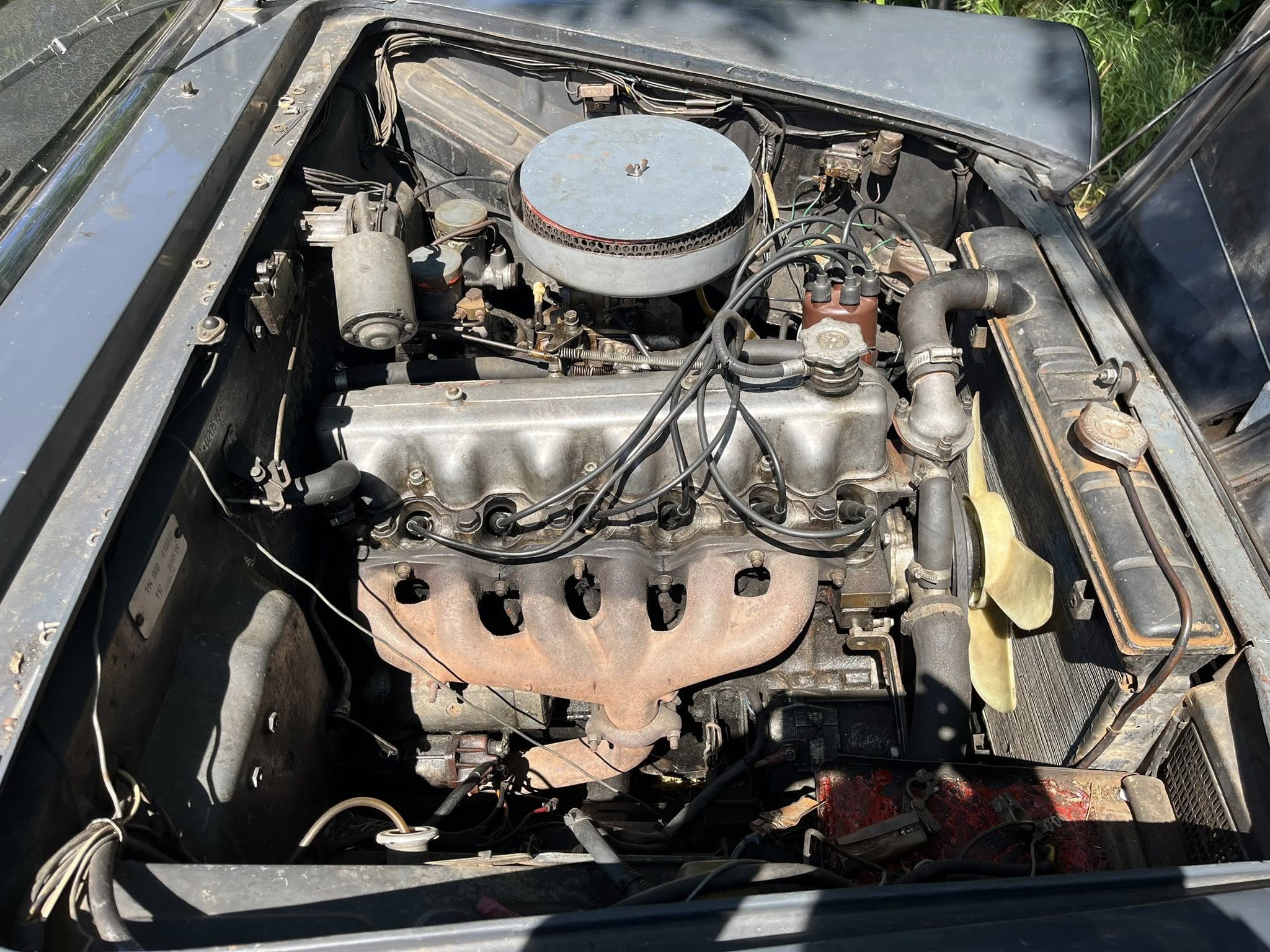 499239492_1038204035071203_553122708533653857_n | Vezess | Vezess