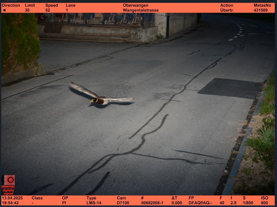 Elképesztő jómadarat fogott a traffipax, már megint 1