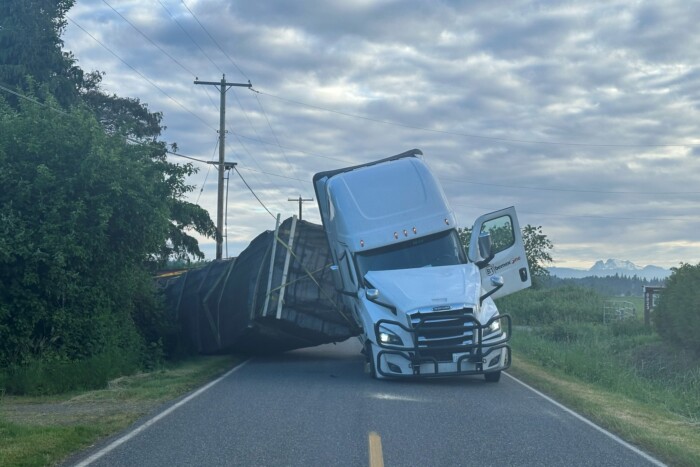 Ijesztő, elszabadult a raj a baleset után