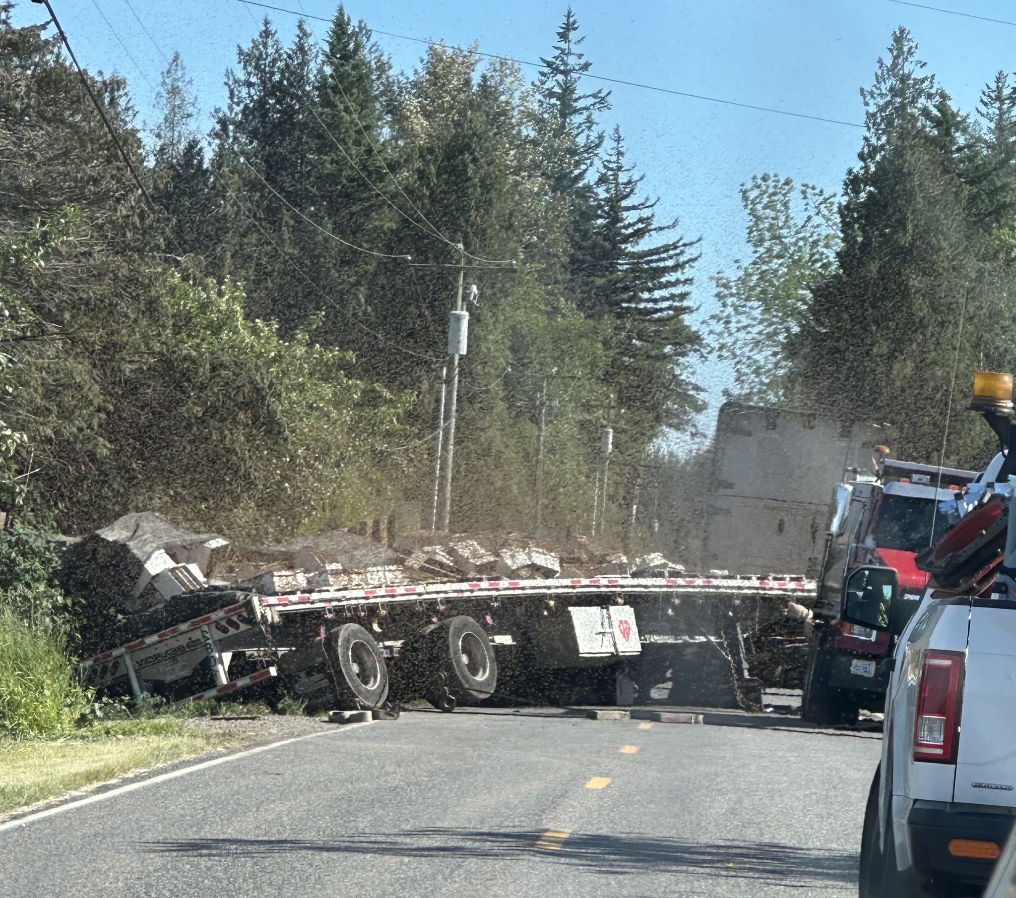 Ijesztő, elszabadult a raj a baleset után 1