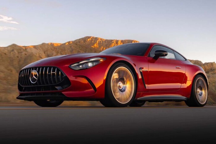 Két vadállat egy aszfalton – melyik a nagyobb élmény? 2