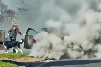 A dízelesek rémálma végzett a luxusautóval: felszállt a fehér füst