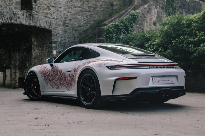 Oroszlánok lepték el ezt a Porschét 6