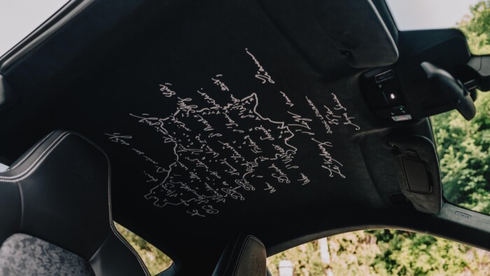 Oroszlánok lepték el ezt a Porschét 7