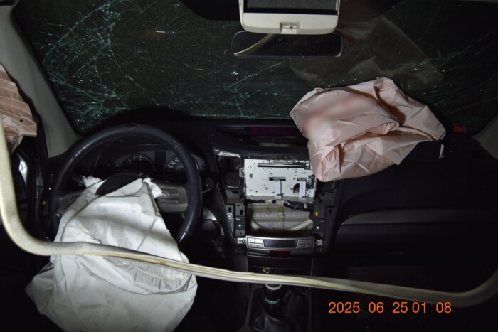 Több gólyát is elintézett az ittas sofőr Somogyban