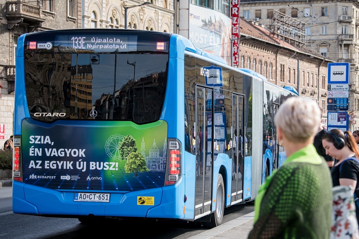 2025-07-31_nys_0892 | Vezess | Vezess