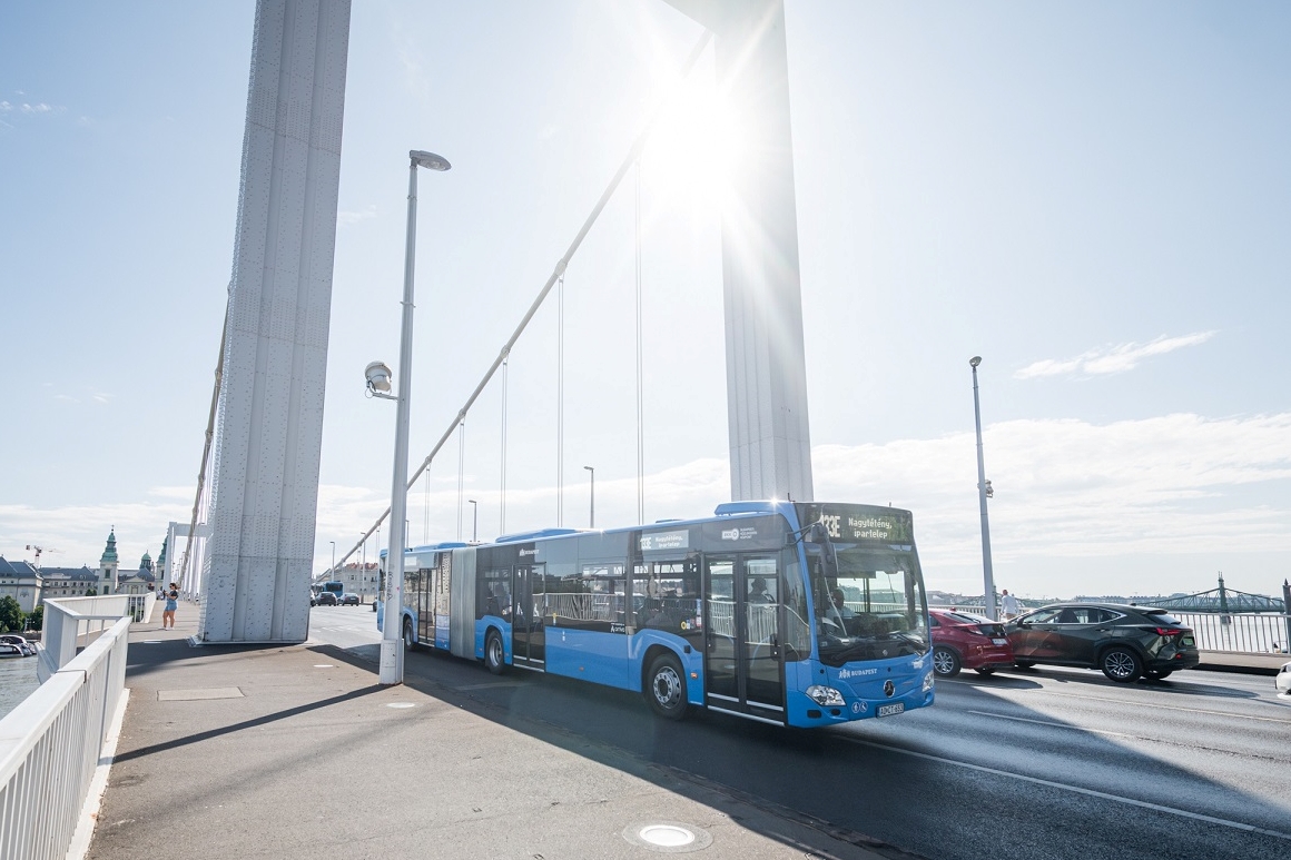 2025-07-31_nys_0983 | Vezess | Vezess