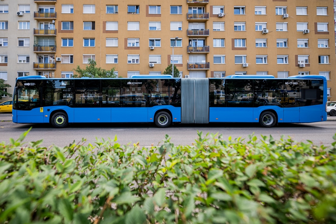 2025-07-31_nys_1069 | Vezess | Vezess