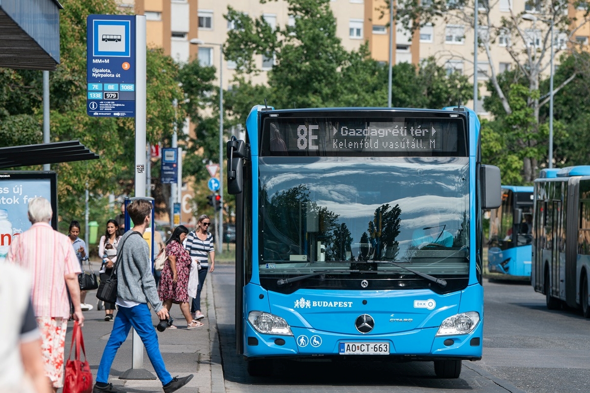 2025-07-31_nys_1089 | Vezess | Vezess