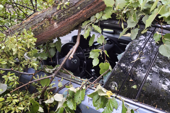 Rádőlt a fa az autómra. Ki fizeti a kárt? 1