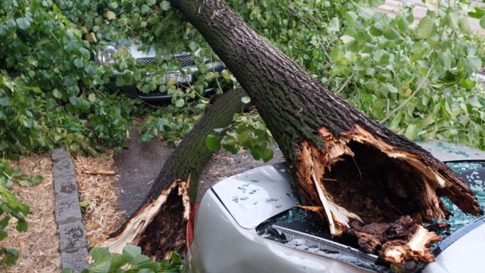 Rádőlt a fa az autómra. Ki fizeti a kárt? 2