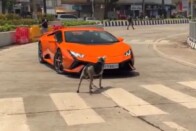 A lájkokat akarta begyűjteni, de végül őt gyűjtötte be a rendőrség 1