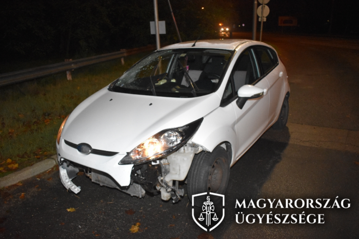 Autó elé dőlt egy fa, már rég ki kellett volna vágni 1