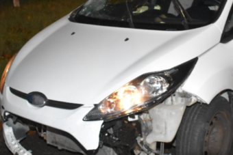 Autó elé dőlt egy fa, már rég ki kellett volna vágni