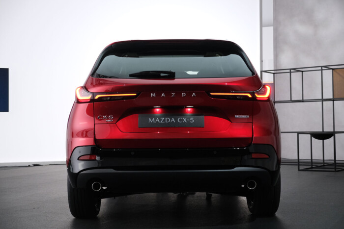 Megbízható szívó benzines autó jön Magyarországra 14