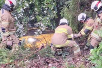 Ritka sportkocsit mentettek ki a fák közül Ausztriában