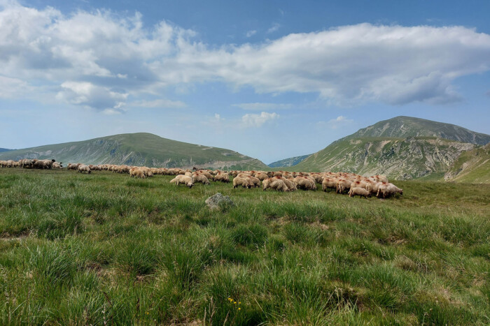 Ez az út hiányzik legjobban Magyarországról 7