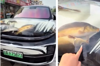 Bizarr akváriumot tákolt autójából egy kínai férfi