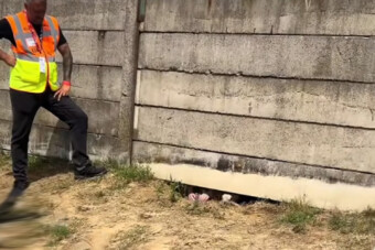 A Hungaroringen zajlott az év eddigi legviccesebb jelenete