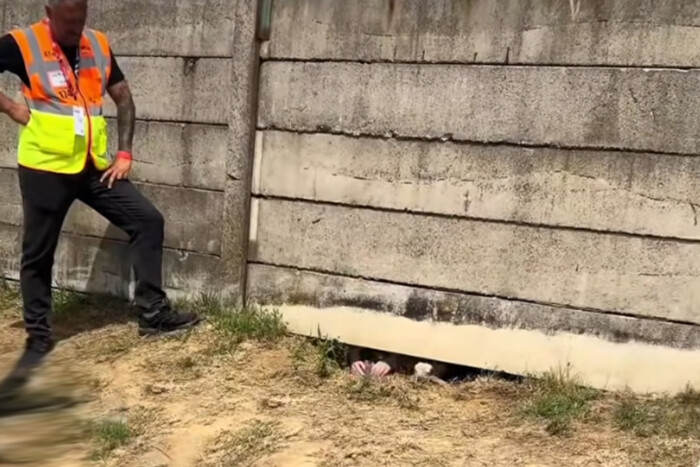 A Hungaroringen zajlott az év eddigi legviccesebb jelenete